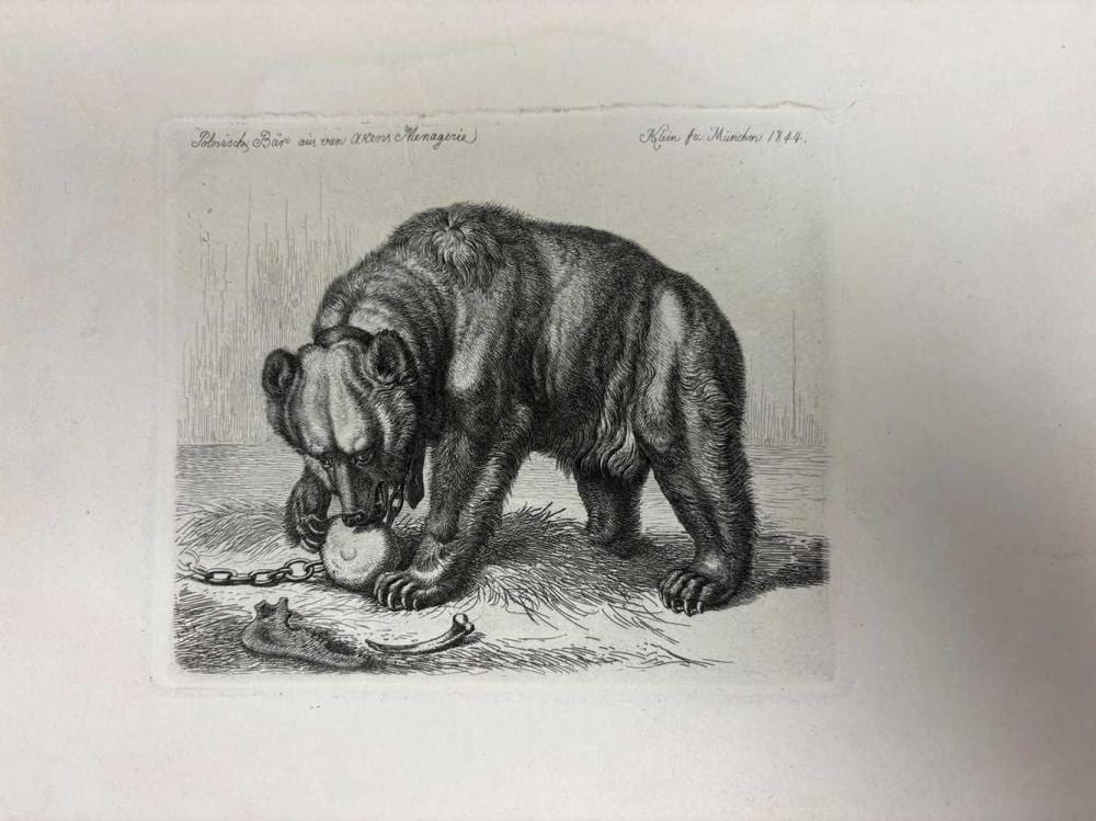 Johann Adam Klein comparable auction result: johann adam klein 1792 nuremberg 1875 munich