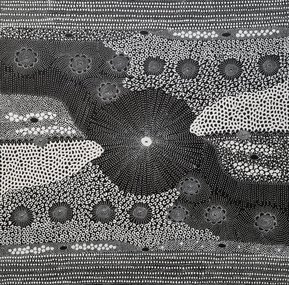 Janet Long Nakamarra comparable auction result: janet long nakamarra water dreaming acrylic on linen 102cm x 101cm