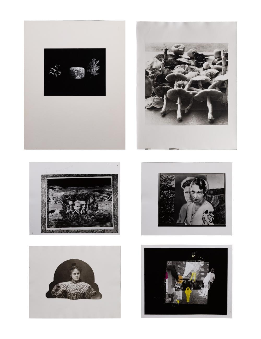 Linda Connor comparable auction result: linda connor american b 1944 photograph assortment