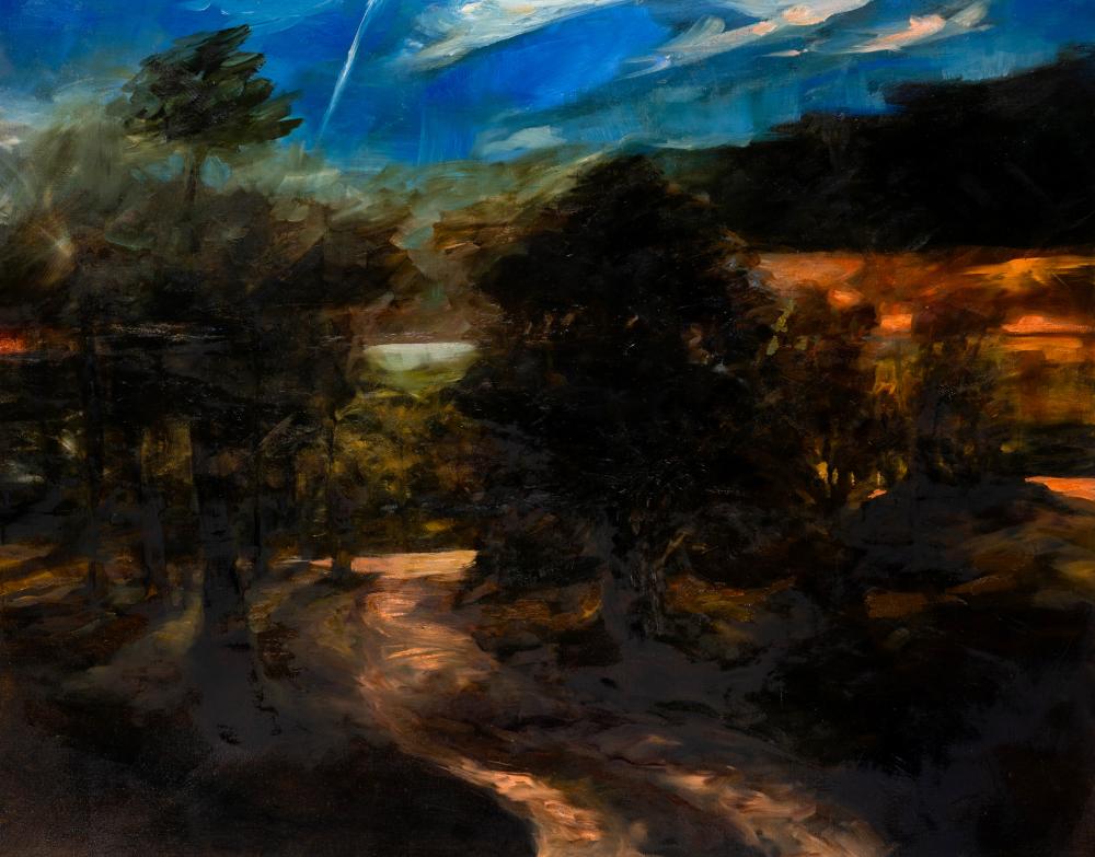 John (1940) Anderson comparable auction result: john anderson born 1947 driveway at dusk 2005