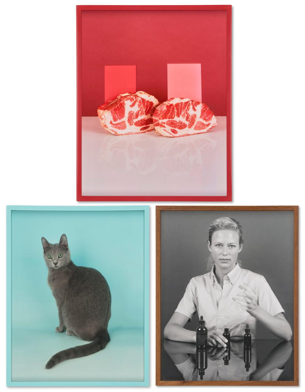 Elad Lassry comparable auction result: elad lassry b 1977 i boston shoulder roasts ii russian blue iii
