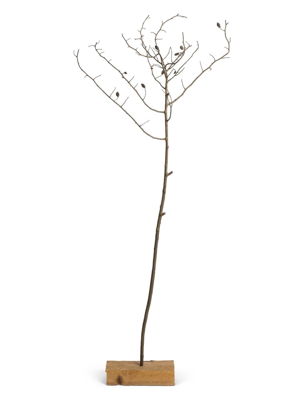 Anya Gallaccio comparable auction result: anya gallaccio b 1963 someone like me bronze and silver on wood