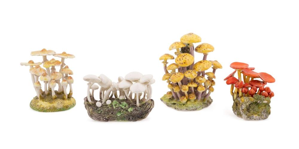 Maria Maravigna comparable auction result: maria maravigna 4 edible mushroom clusters