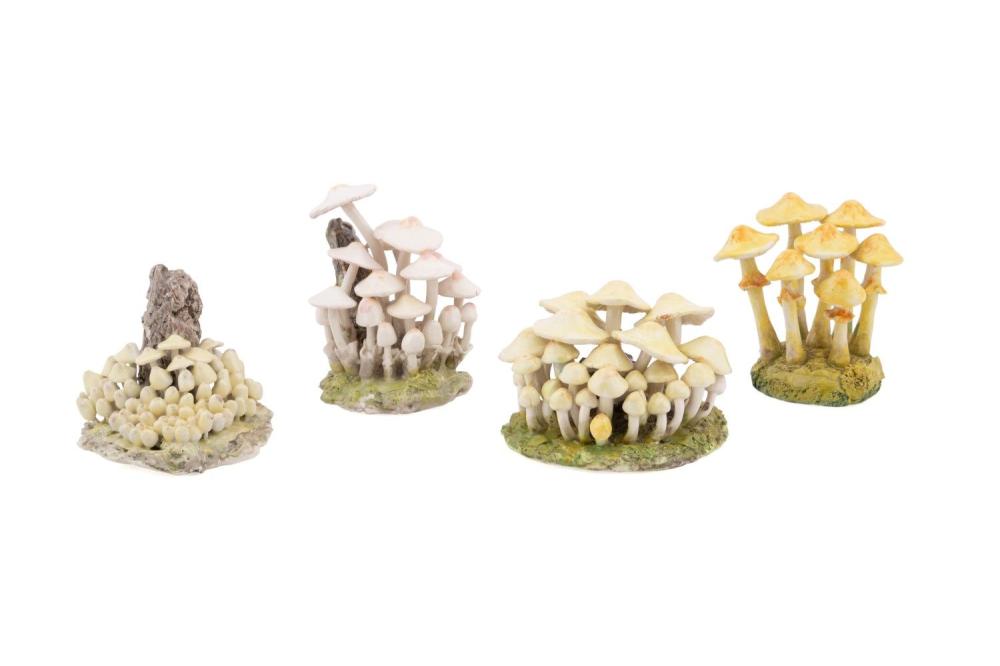 Maria Maravigna comparable auction result: maria maravigna 4 edible mushroom clusters