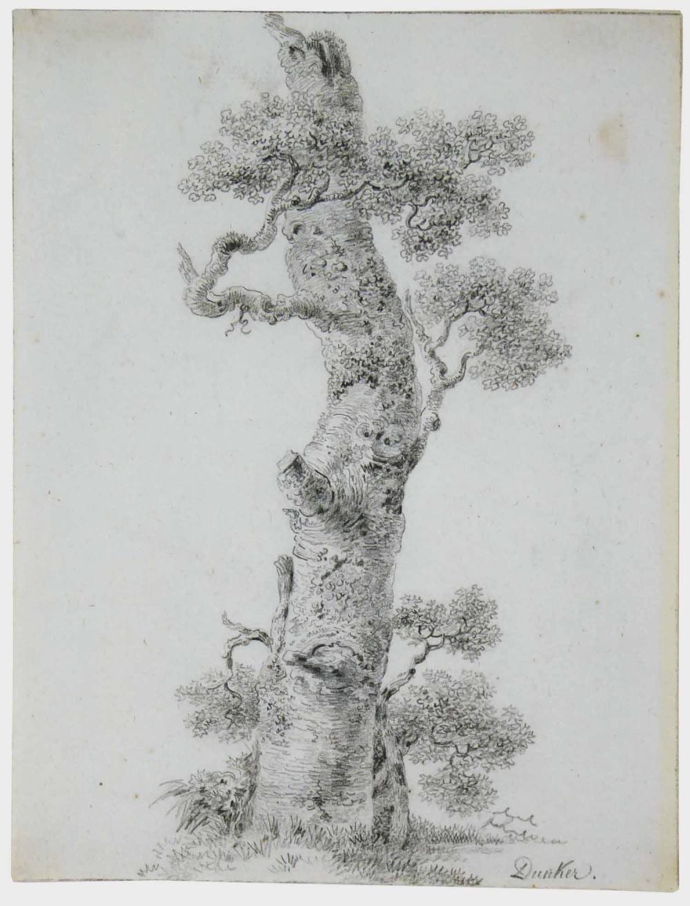 Balthasar Anton Dunker comparable auction result: balthasar anton dunker baumstudie