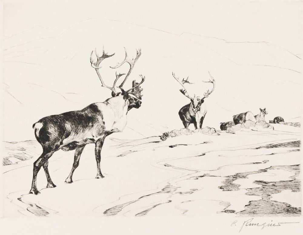 Carl Rungius comparable auction result: carl rungius 1869 1959 the stranger 1926