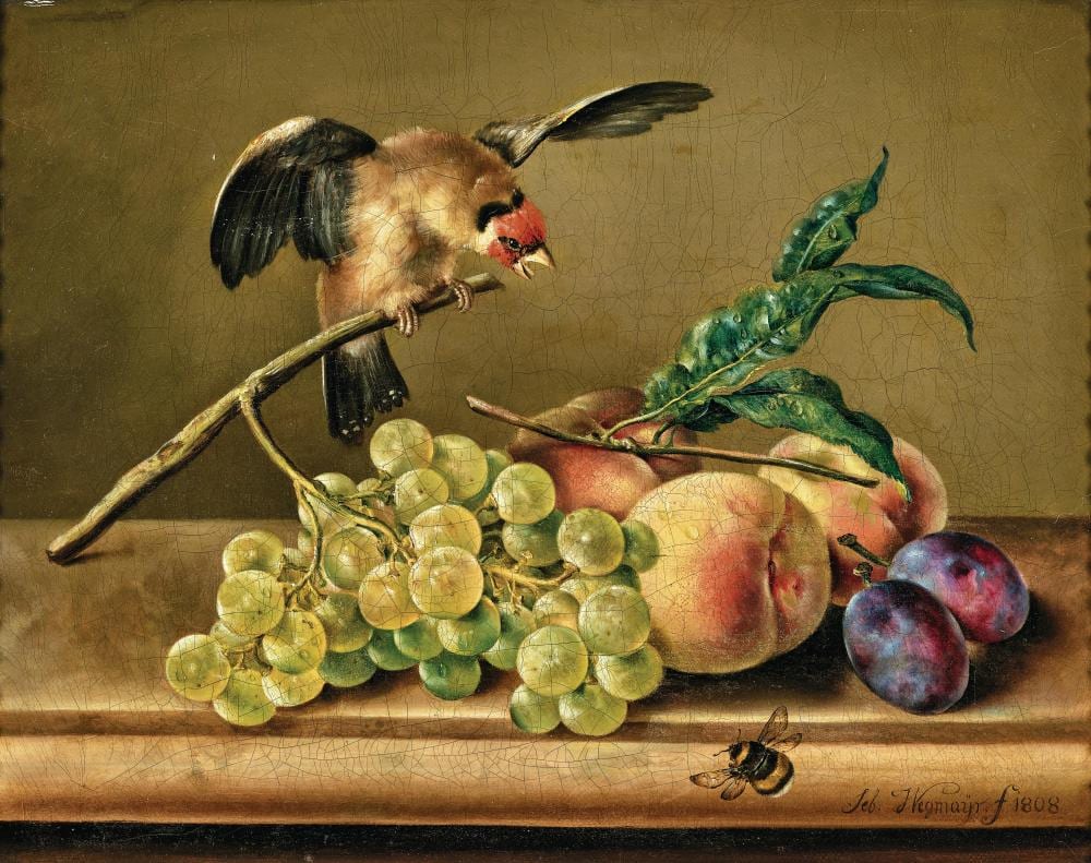 Sebastian Wegmayr comparable auction result: sebastian wegmayr