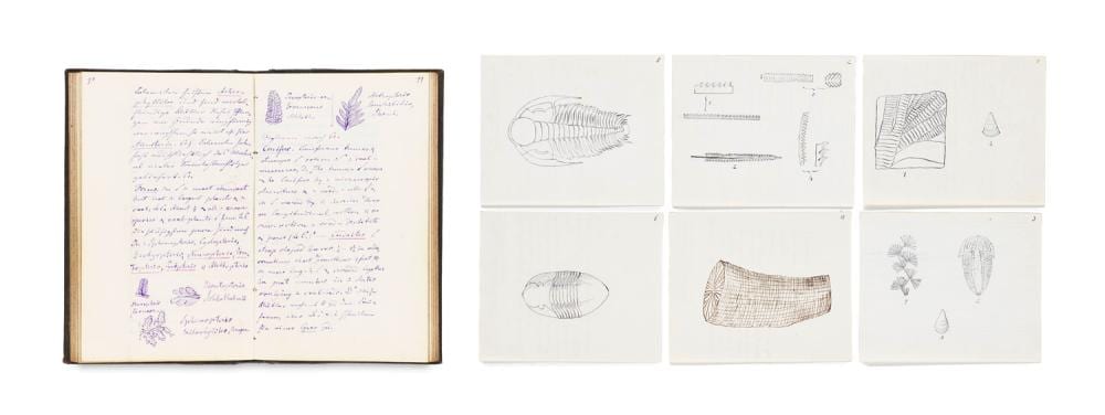 Alfred Drury comparable auction result: e mil pollmar manuskript des geologie professors emil pollmar englische h