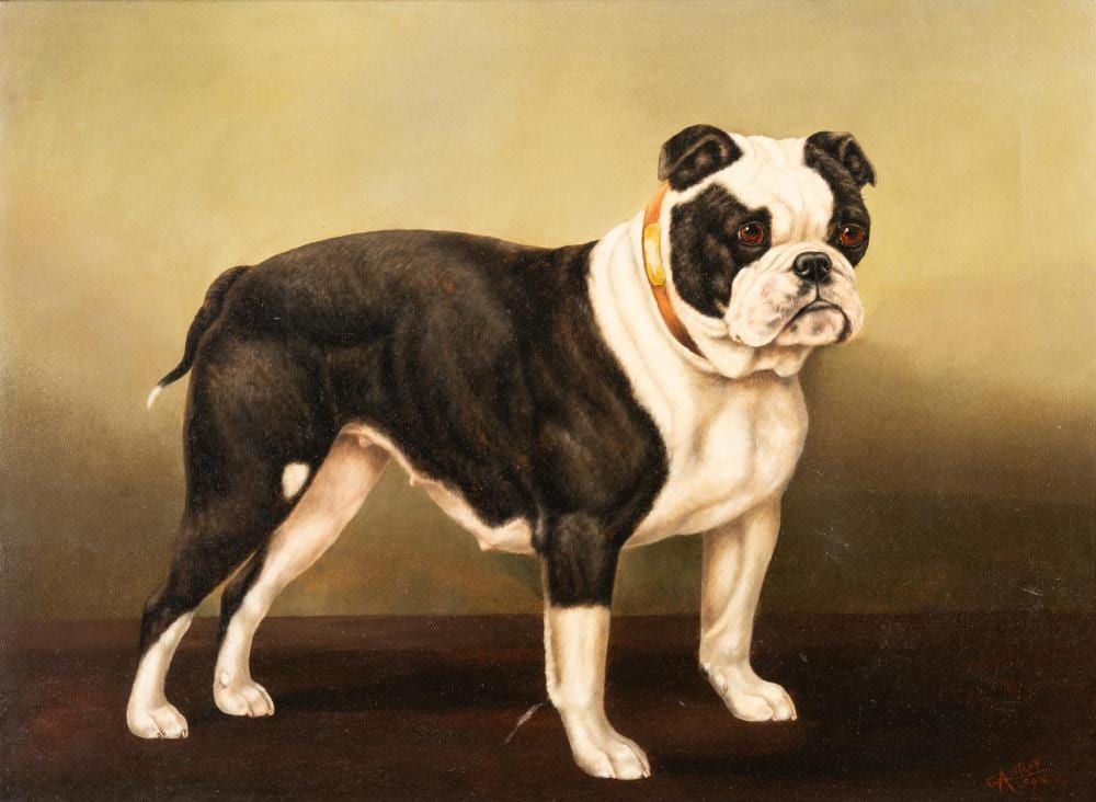 Edward Aistrop comparable auction result: edward aistrop british fl 1880 1920 mischief a bull bitch