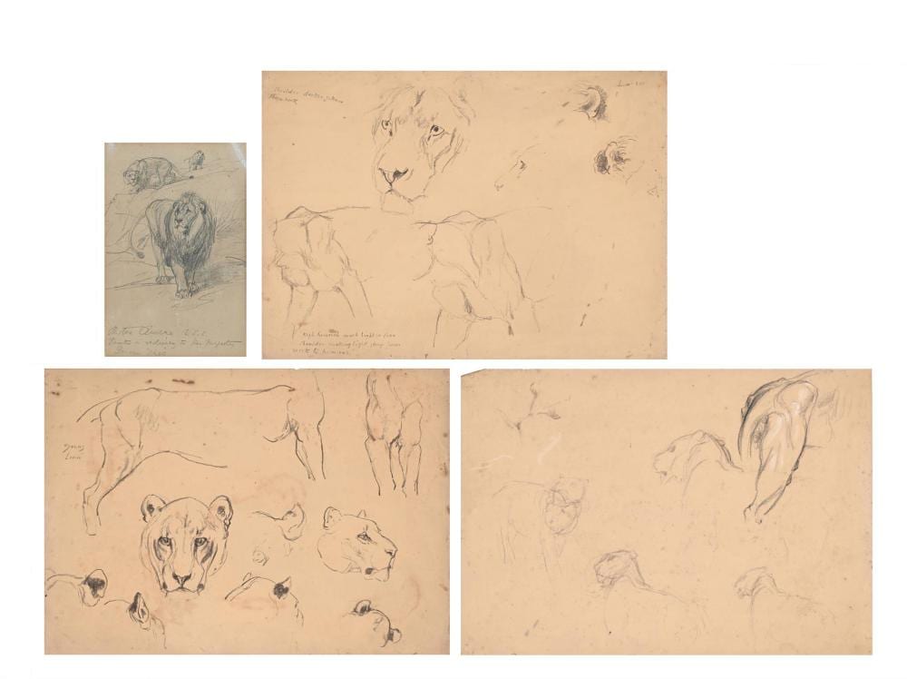 Briton Rivière comparable auction result: briton rivi re british1840 1920 a study of lions together with three others 4