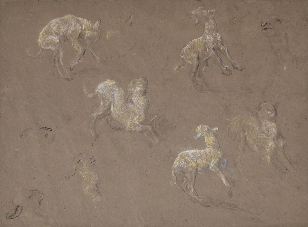 Briton Rivière comparable auction result: briton rivi re british 1840 1920 studies of a lamb for una and the lion and another 2