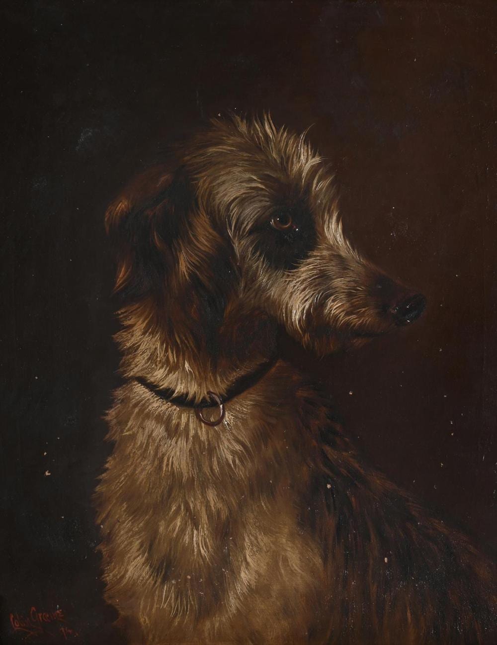 Colin Graeme comparable auction result: colin graeme british 1858 1910 portrait of a lurcher