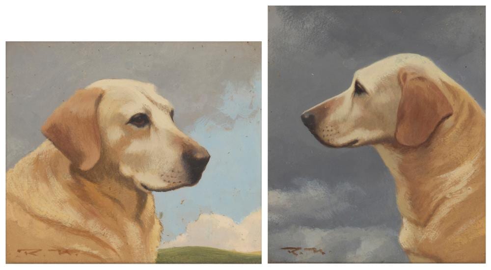 Roy Nockolds comparable auction result: roy nockolds 1911 1979 two portraits of yellow labrador retrievers