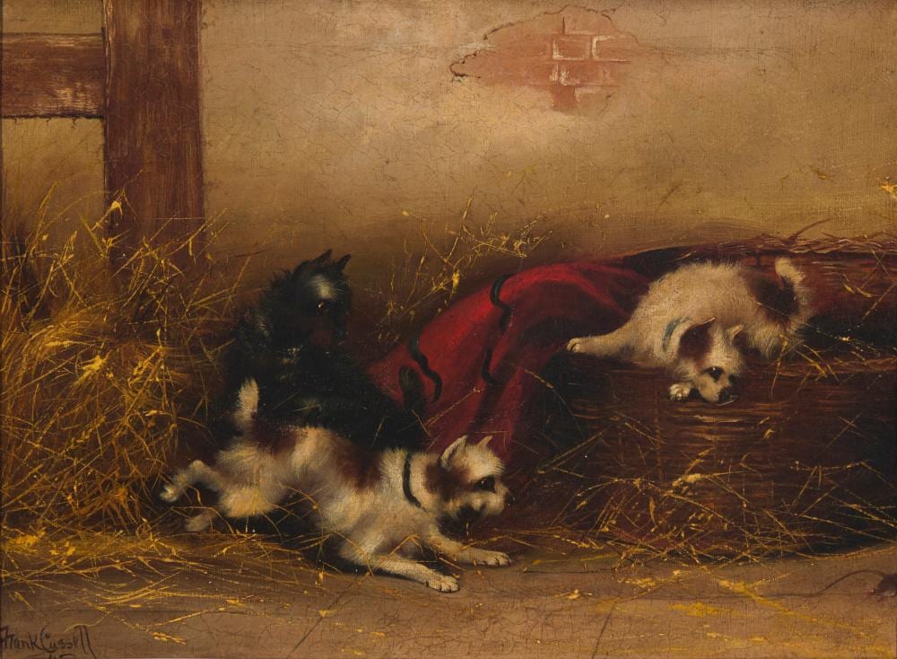 Frank Cassell comparable auction result: frank cassell 19th century dogs in an interior with a red blanket