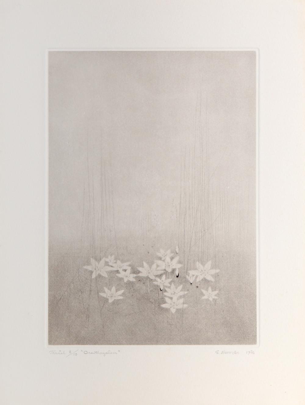 Gunnar Norrman comparable auction result: gunnar norrman ornithogalum drypoint etching