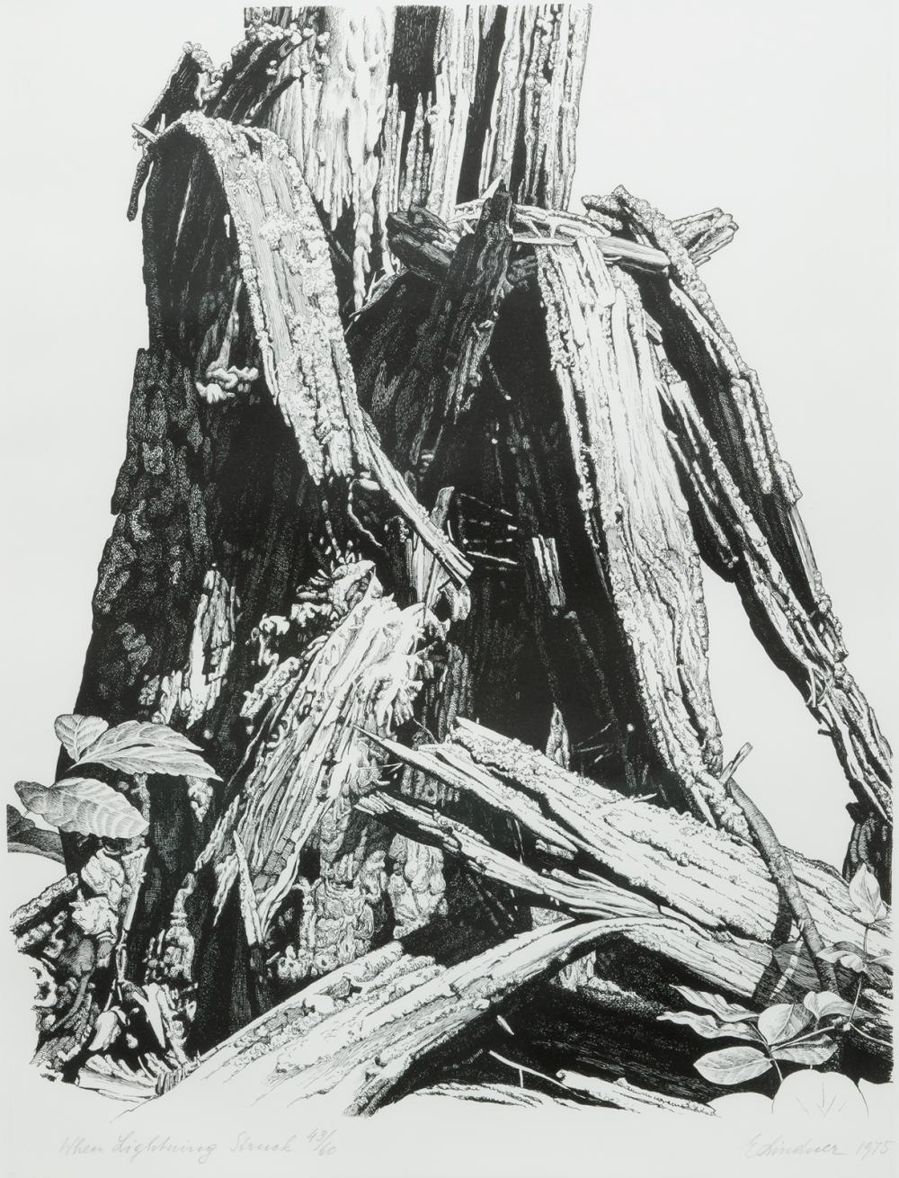 Ernest Lindner comparable auction result: ernest lindner when lightning struck