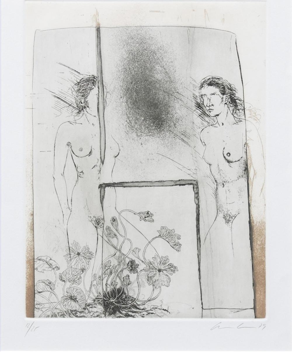 Ana Lentsch comparable auction result: ana lentsch poemas etching and aquatint 1979 i 37cm x 29cm f 64cm x 53cm