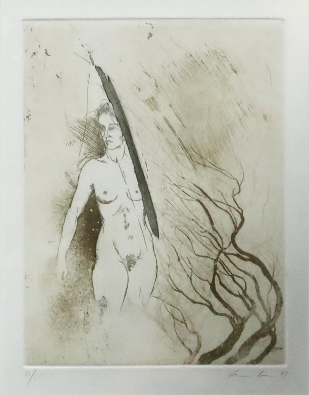 Ana Lentsch comparable auction result: ana lentsch poemas etching and aquatint 1979 image 34cm x 28cm frame 64cm x 53cm