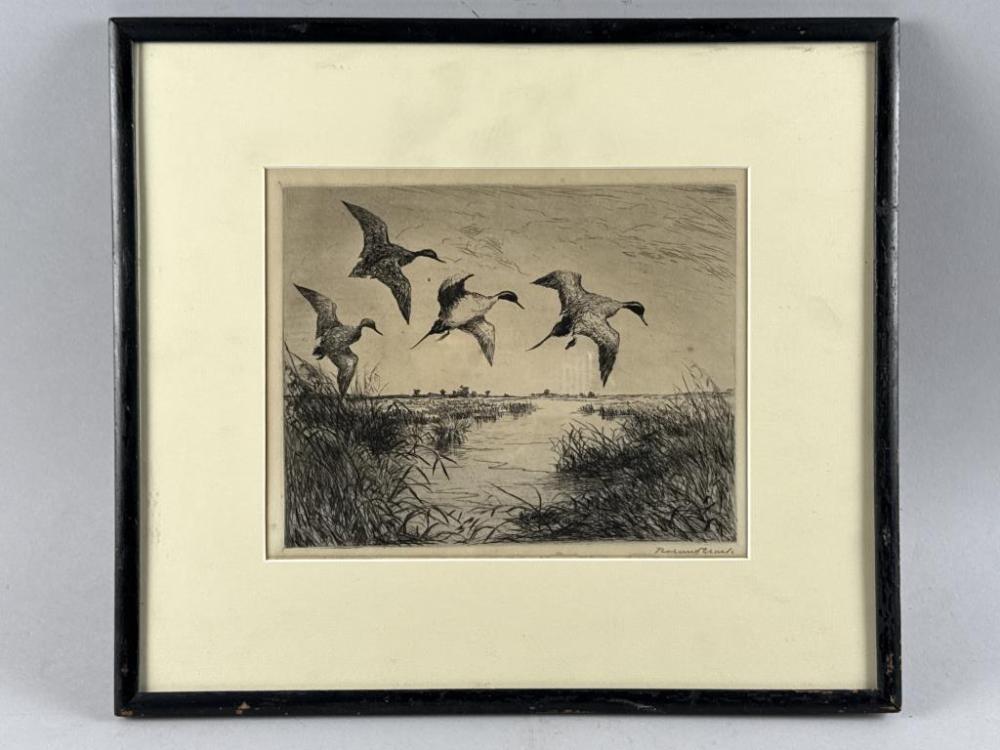 Roland Clark comparable auction result: roland clark connecticut 1874 1957 pintail 2 etching 8 x 9 75 sheet size 13 x 15 5 framed 15 x 16 75