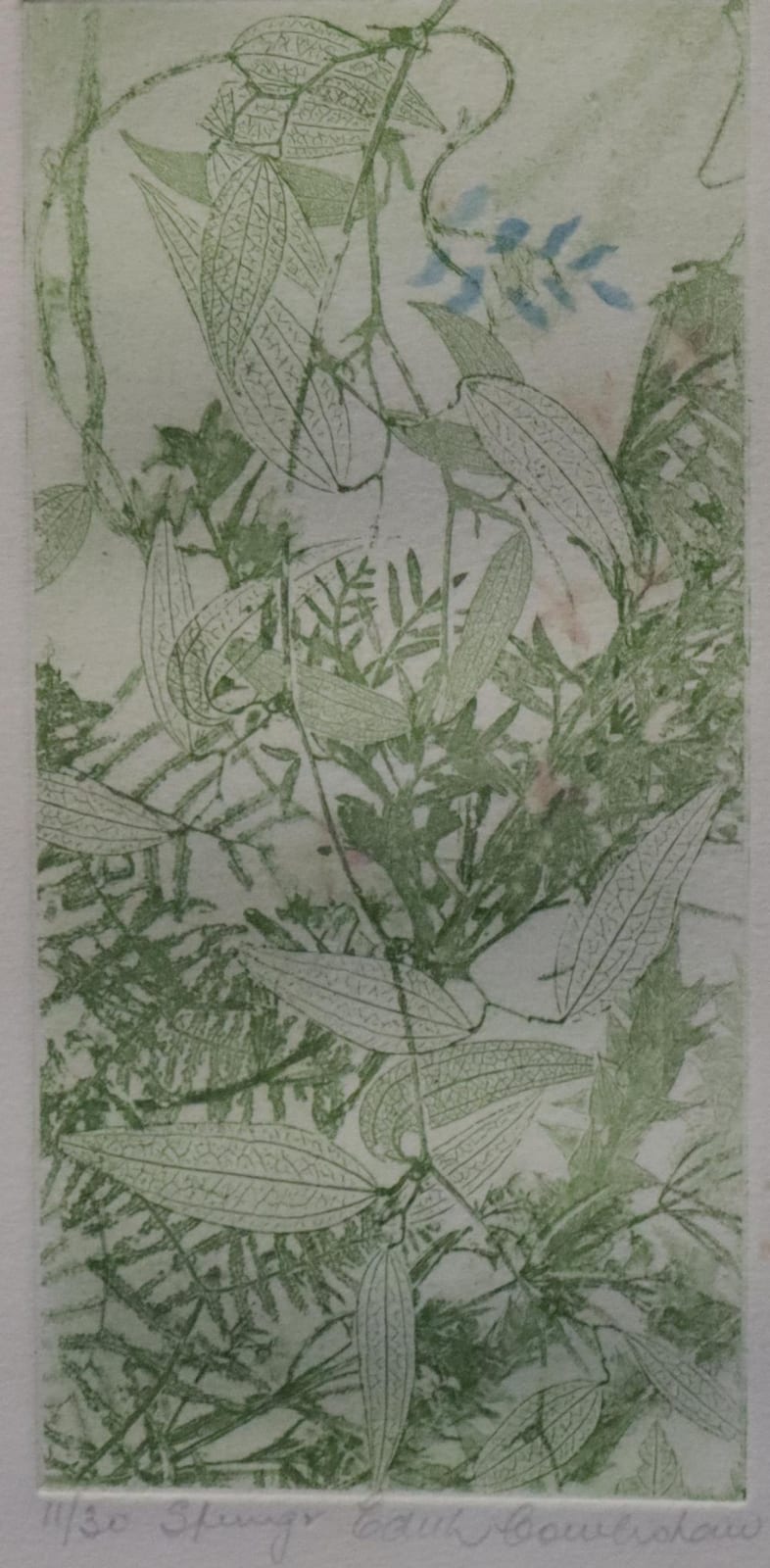 Edith Cowlishaw comparable auction result: edith cowlishaw coloured etching limited edition 11 30 spring signed in pencil lower right approx 20cm x 10cm