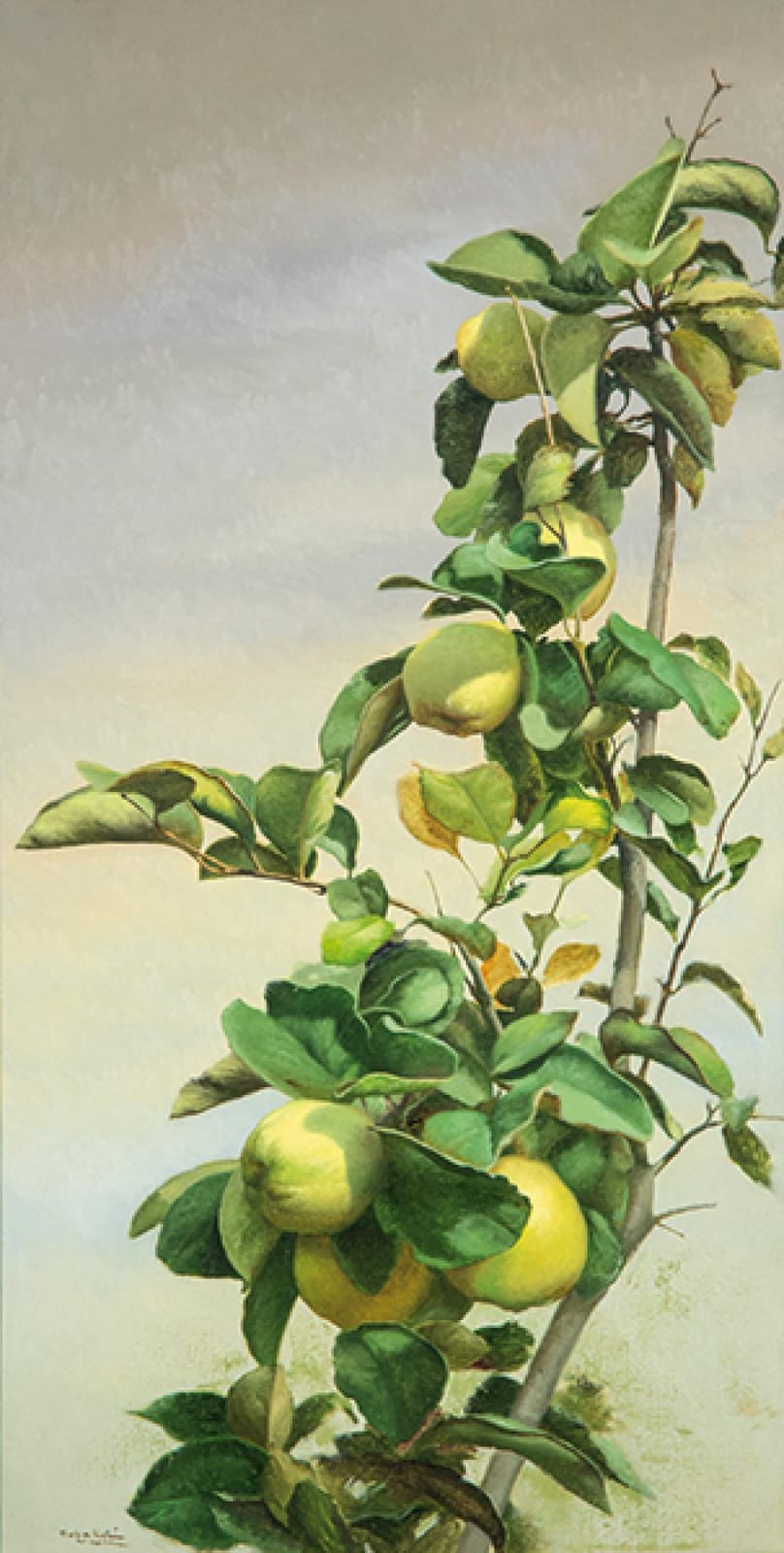 francisco sebastian nicolau membrillos y cielo gris · Subastas Segre · 2025-10-28 Francisco Sebastian Nicolau comparable auction result: francisco sebastian nicolau membrillos y cielo gris