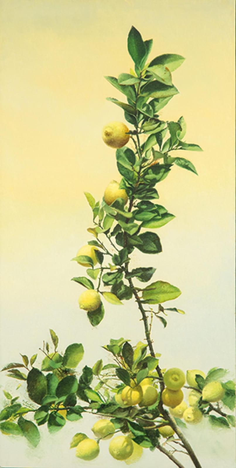 francisco sebastian nicolau limones y cielo amarillo · Subastas Segre · 2025-10-28 Francisco Sebastian Nicolau comparable auction result: francisco sebastian nicolau limones y cielo amarillo