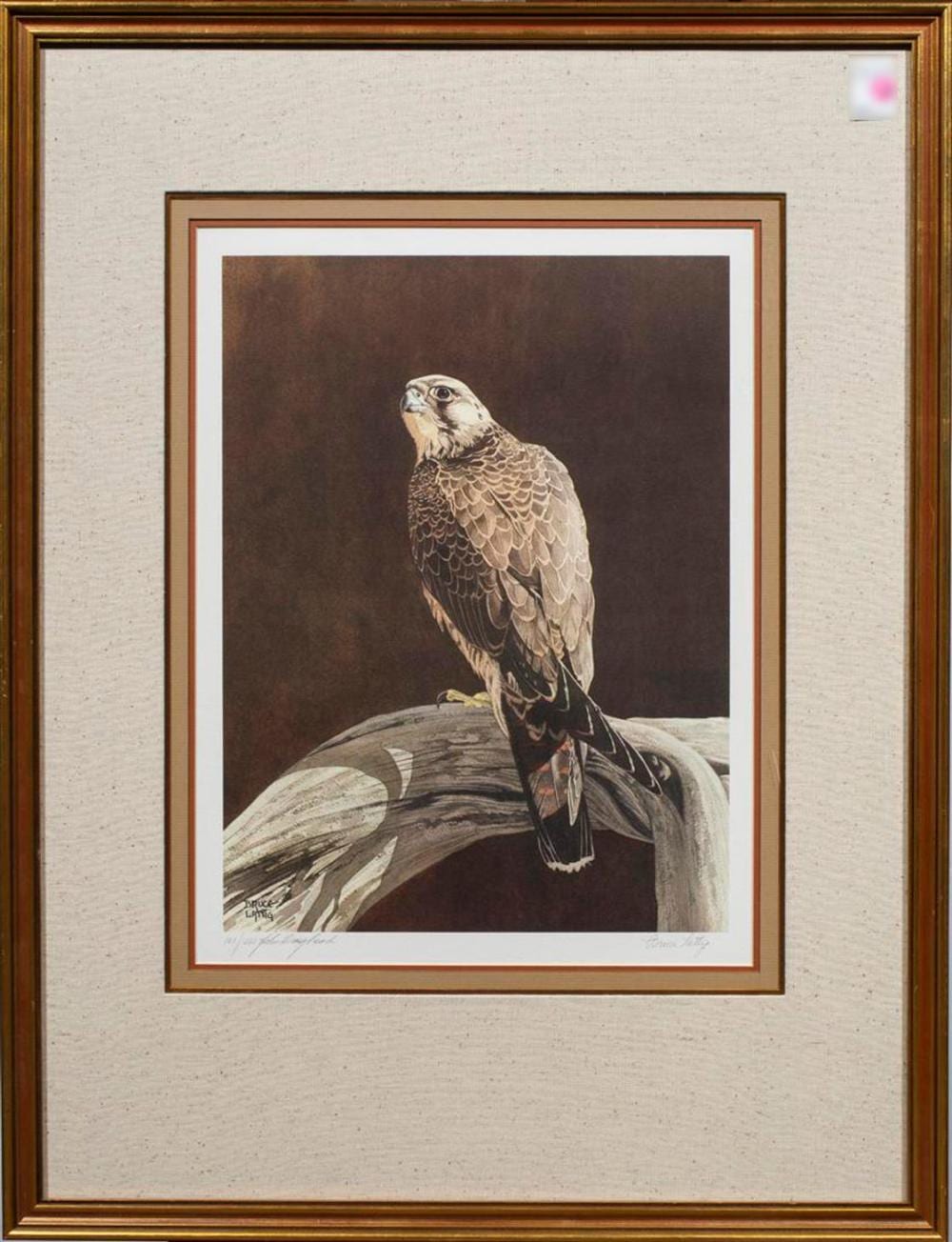 bruce lattig american b 1933 and john craighead american b 1916 bird of prey offset print pencil signed lower right edit · Clars Auctions · 2025-11-06 Bruce Lattig comparable auction result: bruce lattig american b 1933 and john craighead american b 1916 bird of prey offset print pencil signed lower right edit