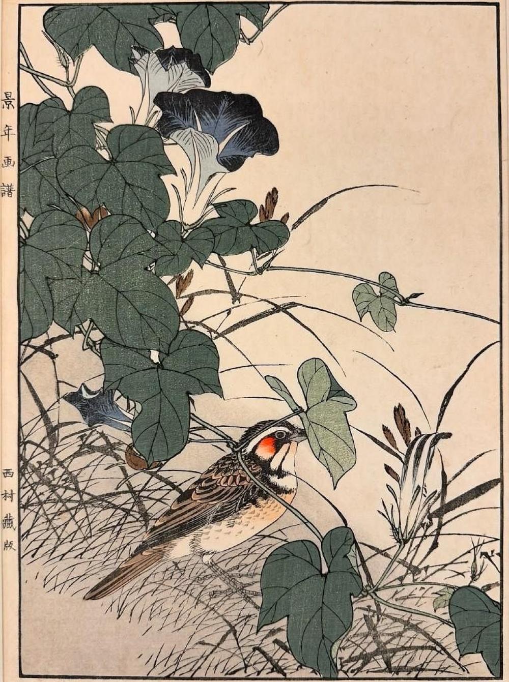 Keinen Imao comparable auction result: imao keinen 1845 1924 woodblock on paper japanese morning glory chestnut eared bunting