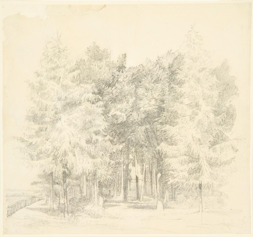 John Sell Cotman comparable auction result: john sell cotman british 1782 1842 study of a group of trees pencil