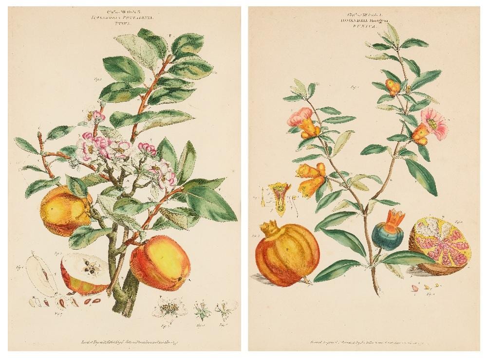 john miller also known as johann sebastian m ller german british 1715 1785 tw · Roseberys · 2025-11-12 John Miller comparable auction result: john miller also known as johann sebastian m ller german british 1715 1785 tw