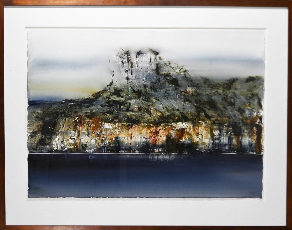 Geoffrey Dyer comparable auction result: geoffrey dyer tasmania coastline i