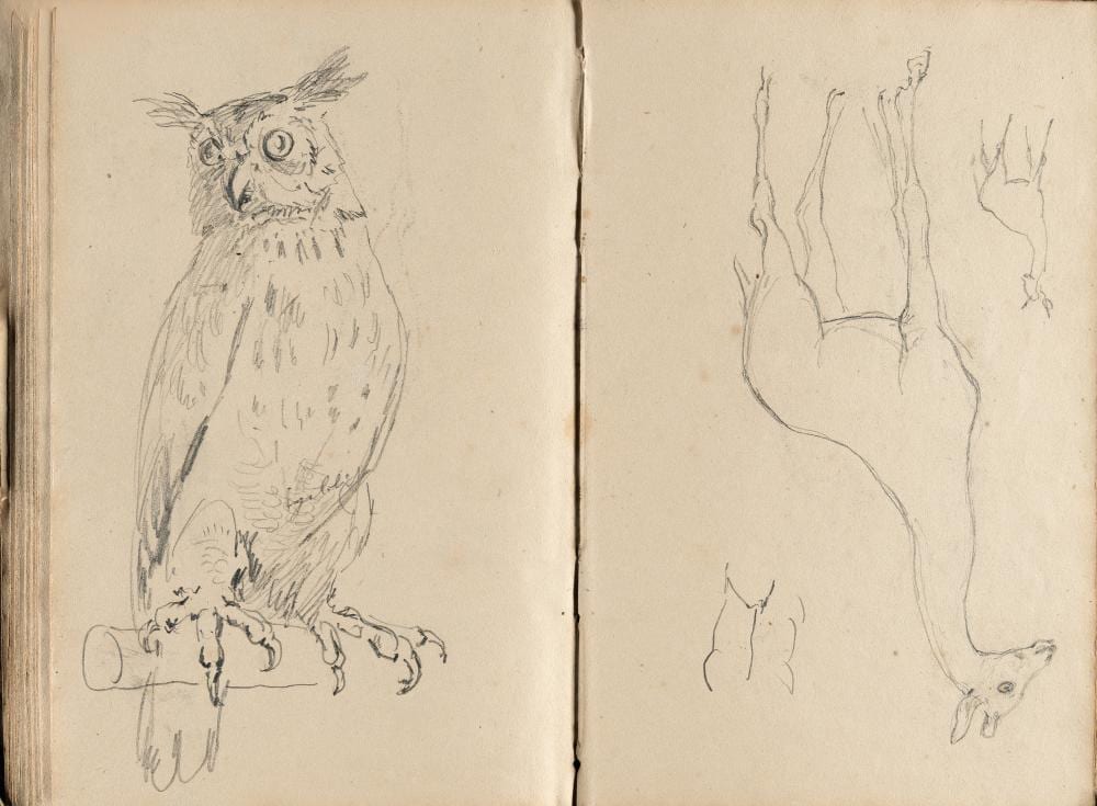 johann michael voltz 1784 n rdlingen 1858 skizzenbuch mit tier und figurenstudien sketchbook with animal and figure studies · Karl & Faber · 2025-11-14 Johann Michael Voltz comparable auction result: johann michael voltz 1784 n rdlingen 1858 skizzenbuch mit tier und figurenstudien sketchbook with animal and figure studies