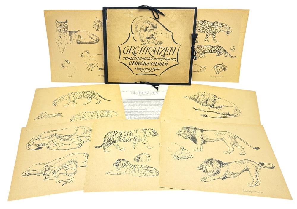 Otto Voigt comparable auction result: otto eduard voigt 1870 1949 portfolio grosskatzen big cats