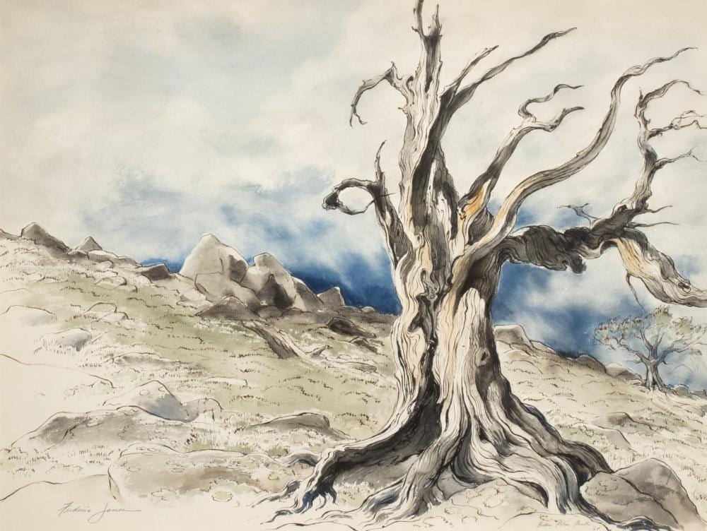 Frederic James comparable auction result: frederic james 1915 1985 windswept pine watercolor