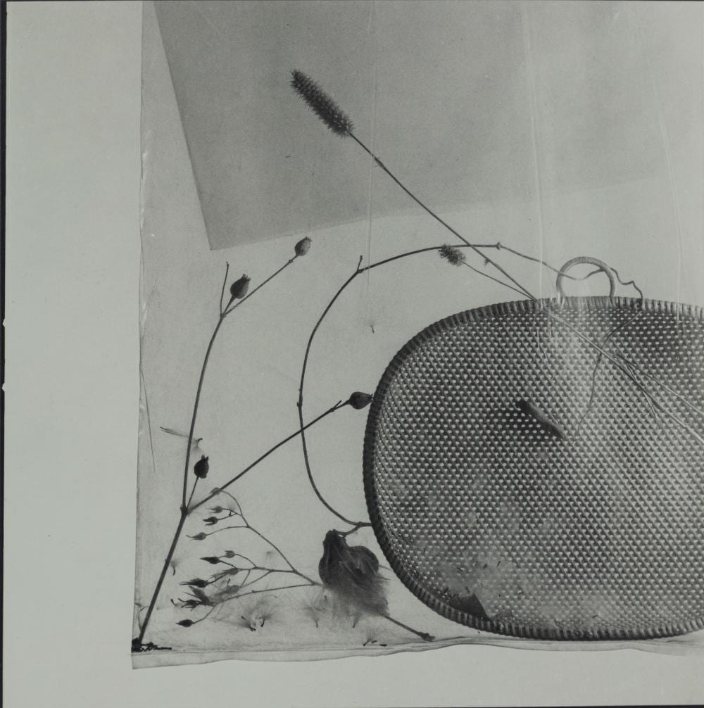 Toni Catany comparable auction result: toni catany 1942 2014 hestrs seques 1980
