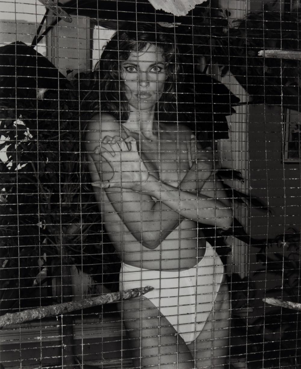 Antonio Guccione comparable auction result: antonio guccione 1947 carol alt 6 new york 1992