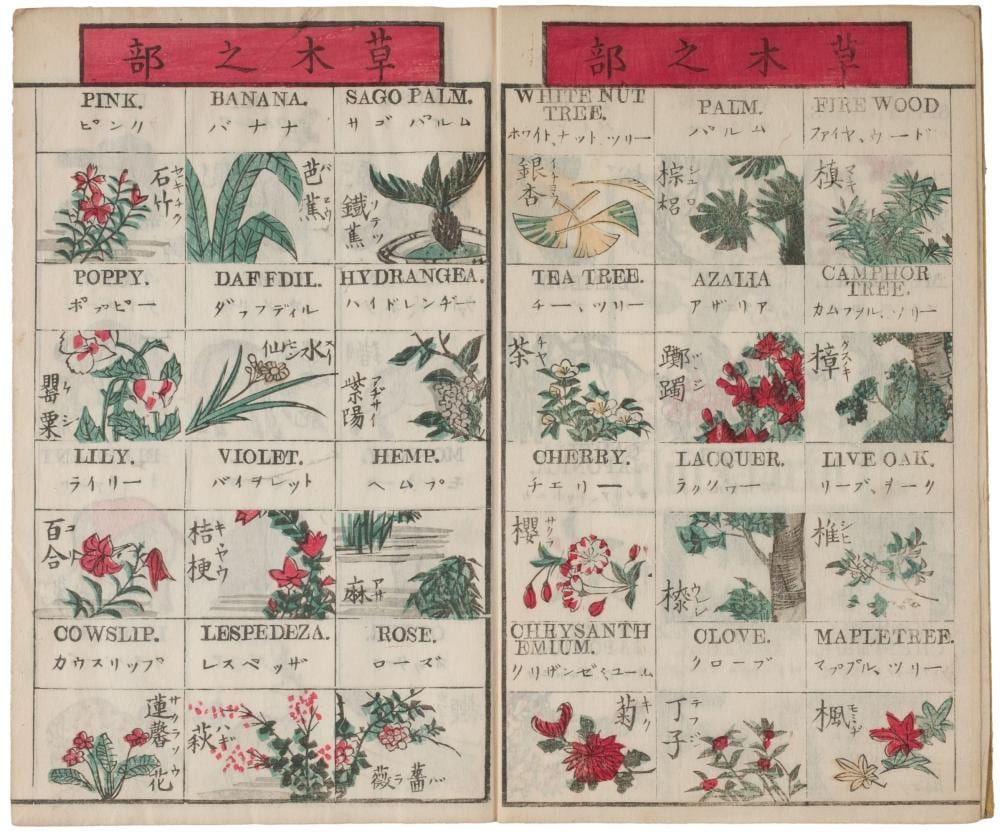 Natalia Dumitresco comparable auction result: na sudo picture book with japanese english translation 1887