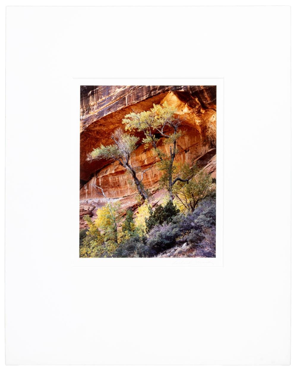 Richard Garrod comparable auction result: two trees and cliff signed by richard garrod