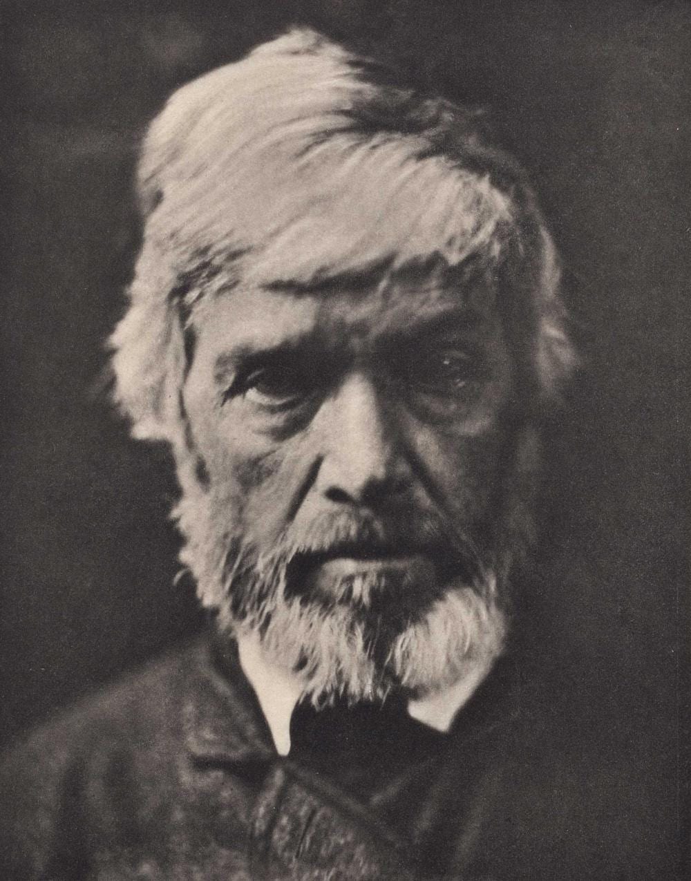 Julia Margaret Cameron comparable auction result: julia margaret cameron 1815 1879