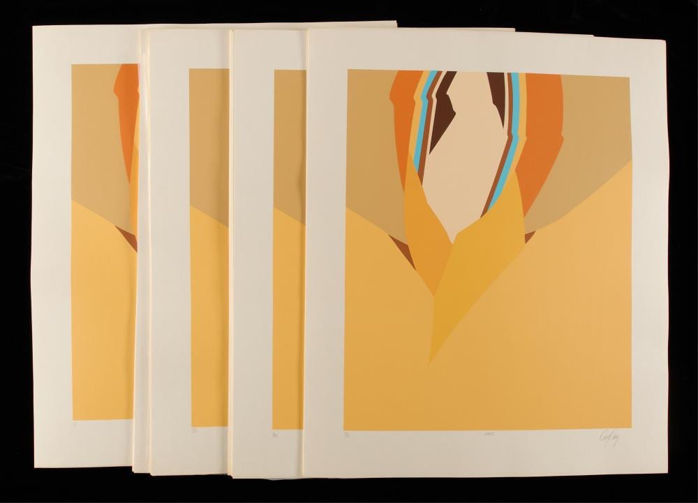 53 doug danz vida v silkscreen prints · Revere Auctions · 2025-11-19 Doug Danz comparable auction result: 53 doug danz vida v silkscreen prints
