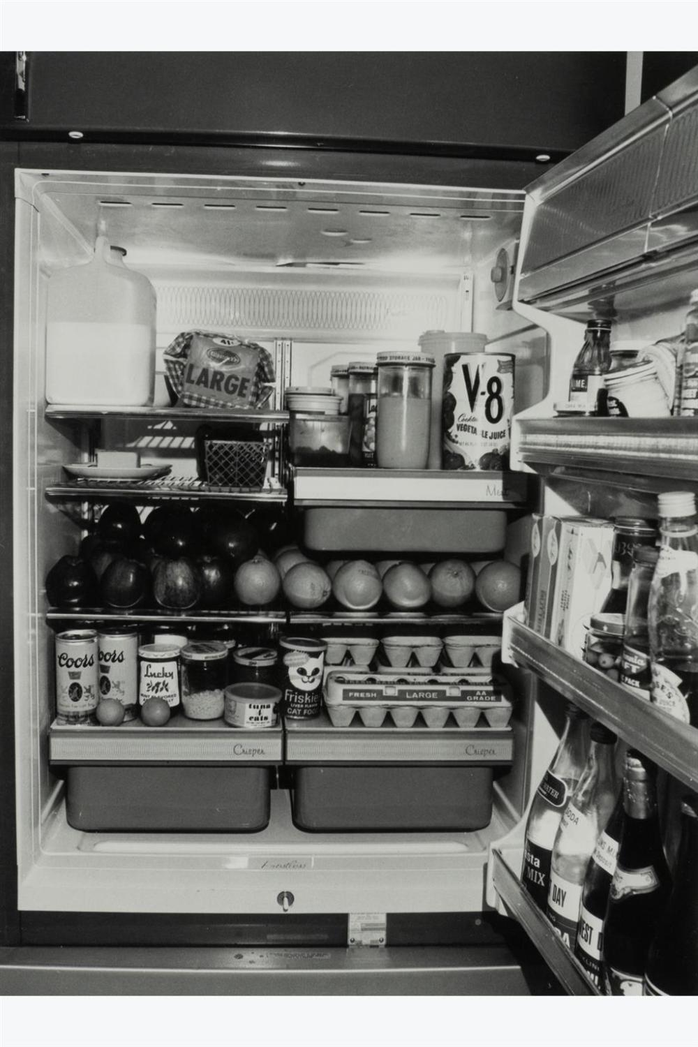 Bill Owens (1938) Untitled [Refrigerator], from the series Suburbia, c. 1972. sold by Piasa, lot 100 — auction record photograph