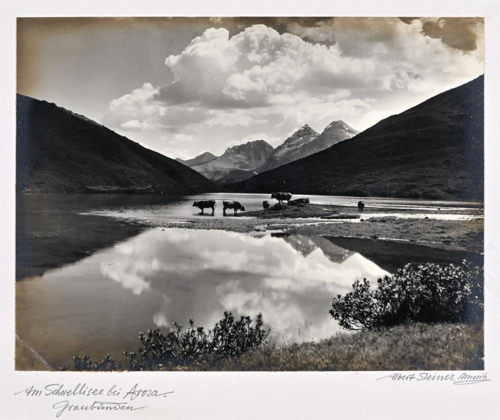 Albert Steiner comparable auction result: albert steiner 1877 1965 am schnellisee bei arosa graub nden