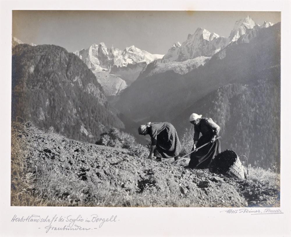 Albert Steiner comparable auction result: albert steiner 1877 1965 herbstlandschaft bei soglio im bergell graub nden