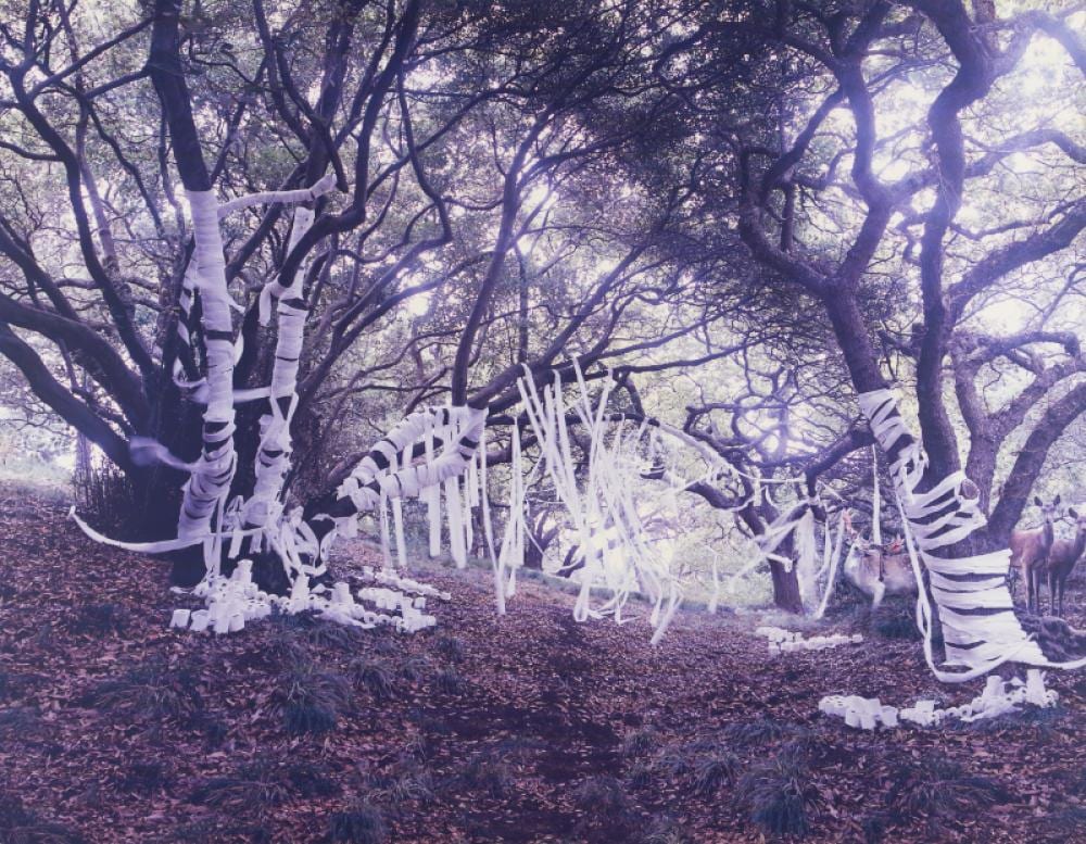 Anthony Goicolea comparable auction result: anthony goicolea b 1971 molting 2002
