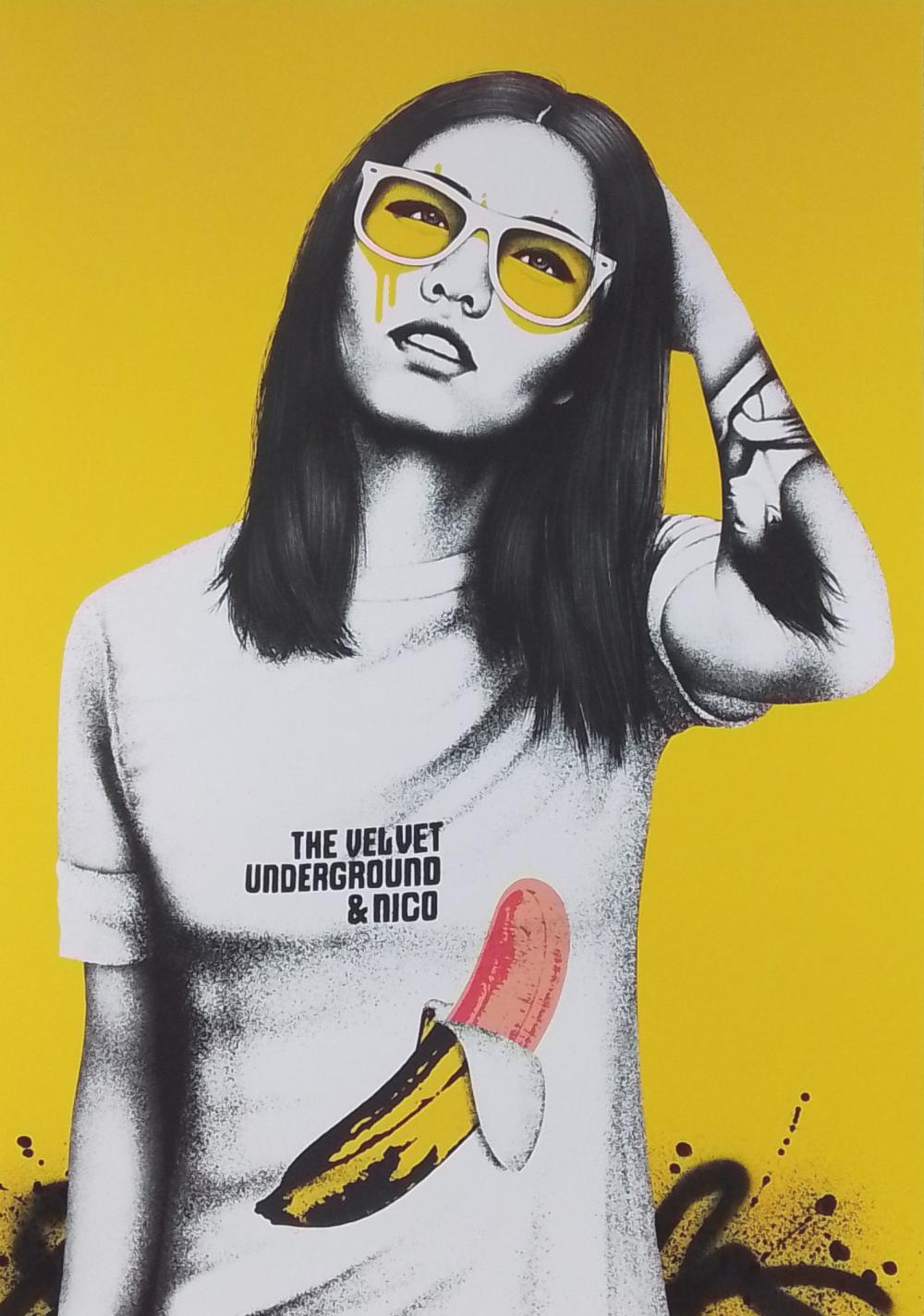 Fin Dac comparable auction result: fin dac velveteen and see signed numbered screen print