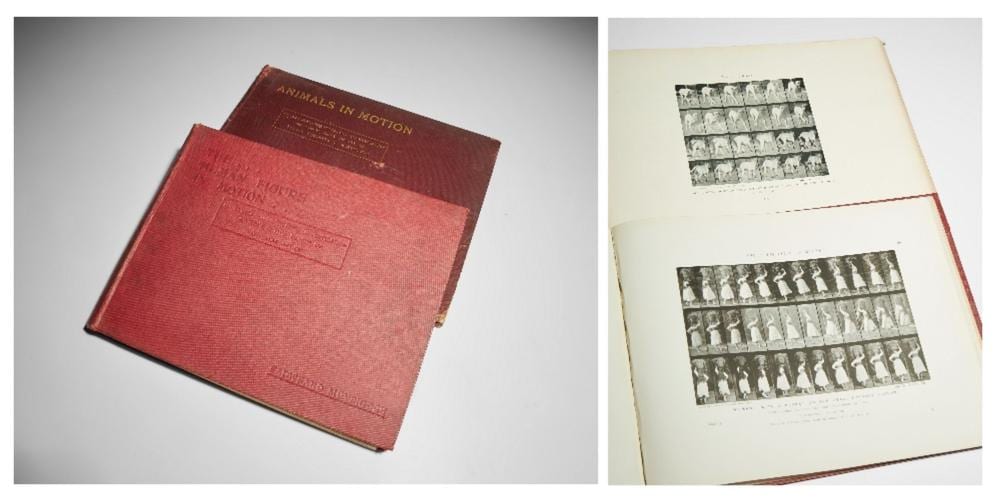 Eadweard Muybridge comparable auction result: eadweard muybridge british 1830 1904 human figures in motion 1895 anim