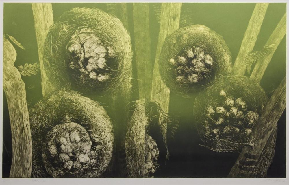 danie mellor australian b 1971 cyathea cooperi 2002 mezzotint engr · Roseberys · 2025-11-25 Danie Mellor comparable auction result: danie mellor australian b 1971 cyathea cooperi 2002 mezzotint engr