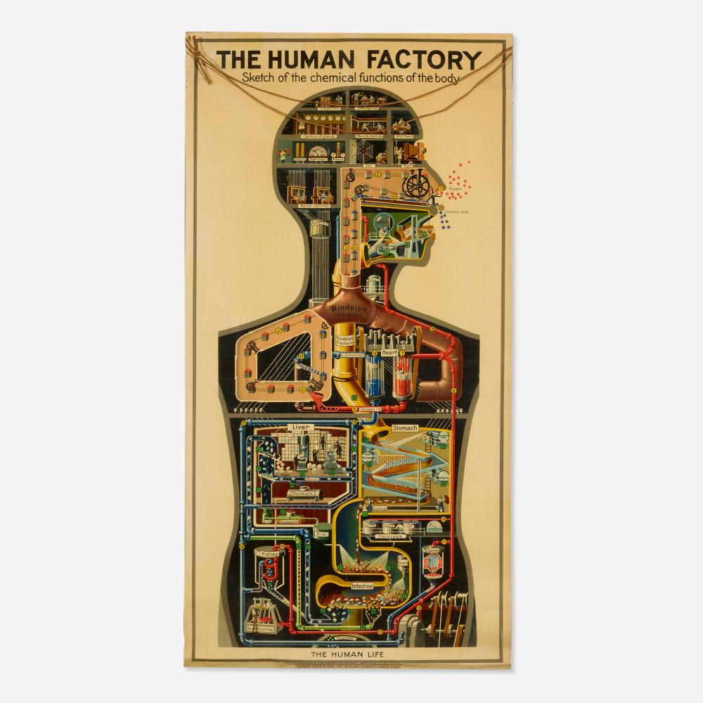 Fritz Kahn comparable auction result: fritz kahn the human factory vintage poster