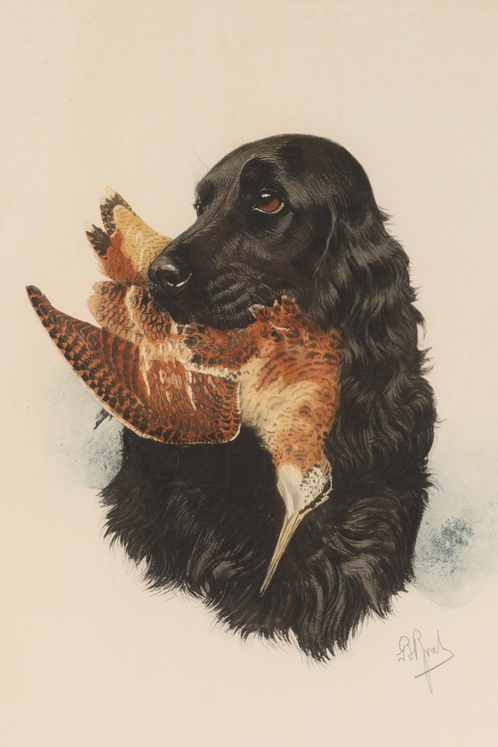 boris riab russian 1898 1975 print of black dog and snipe · Kavanagh Auctions · 2025-11-22 Boris Riab comparable auction result: boris riab russian 1898 1975 print of black dog and snipe