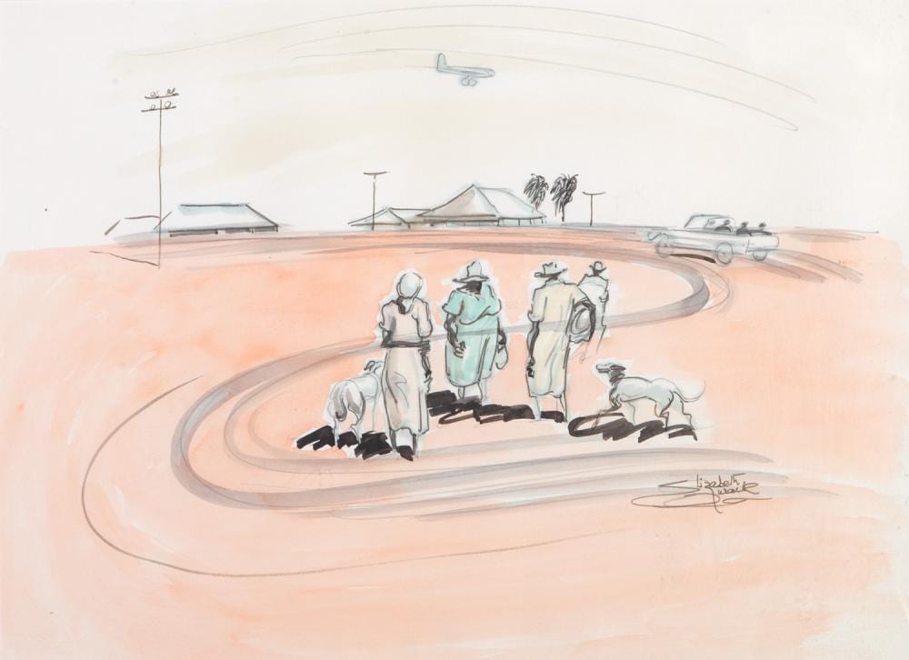 Elizabeth Durack comparable auction result: elizabeth durack homestead with plane mixed media